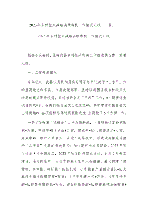 2023年乡村振兴战略实绩考核工作情况汇报(二篇).docx