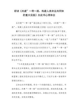 学习领会《共建“一带一路”：构建人类命运共同体的重大实践》白皮书心得体会3篇.docx