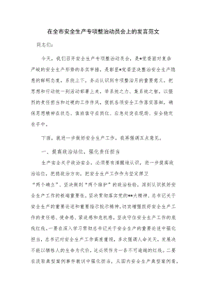 在全市安全生产专项整治动员会上的发言范文.docx