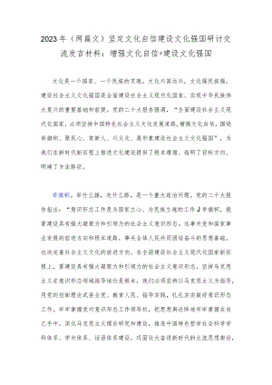 2023年（两篇文）坚定文化自信建设文化强国研讨交流发言材料：增强文化自信+建设文化强国.docx