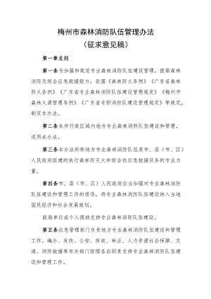 梅州市森林消防队伍管理办法（征求意见稿）.docx