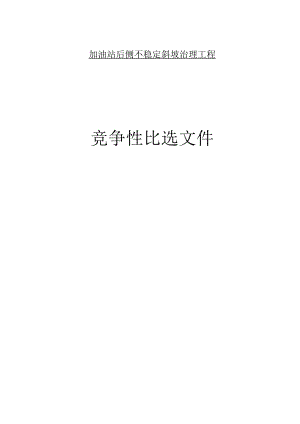 加油站后侧不稳定斜坡治理工程招标文件.docx