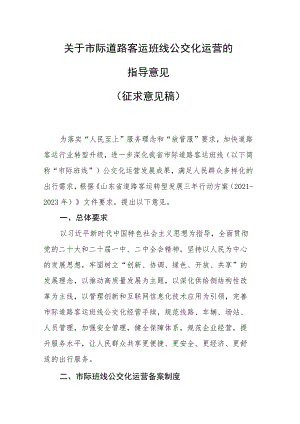 关于市际道路客运班线公交化运营的指导意见.docx