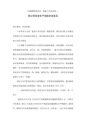 【发言材料】某公司安全生产经验交流发言（5页）.docx