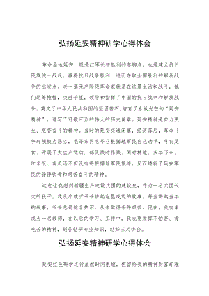 弘扬延安精神研学心得感悟8篇.docx