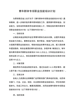 青年群体专项职业技能培训计划.docx