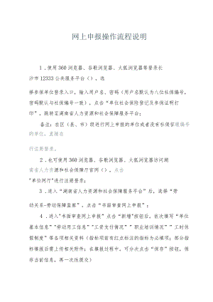 网上申报操作流程说明.docx