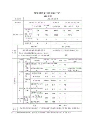 预算项目支出绩效自评表.docx