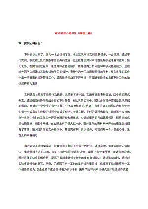 审计实训心得体会(精选5篇).docx