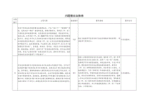 问题整改台账表.docx