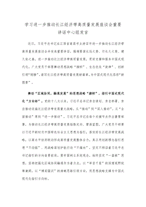 学习进一步推动长江经济带高质量发展座谈会重要讲话中心组发言.docx