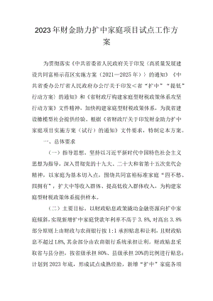 2023年财金助力扩中家庭项目试点工作方案.docx
