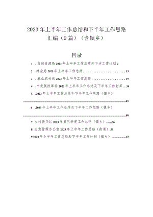 2023年上半年工作总结和下半年工作思路汇编（9篇）（含镇乡）.docx