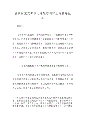 在农村党支部书记专题培训班上的辅导报告.docx