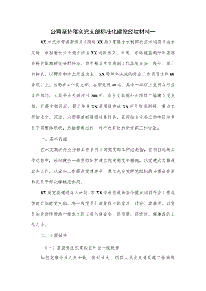 水利公司坚持落实党支部标准化建设经验材料.docx