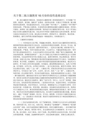 关于第二批主题教育10月份阶段性进展总结.docx