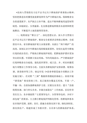 经验材料：多措并举推进“撂荒地”整治.docx