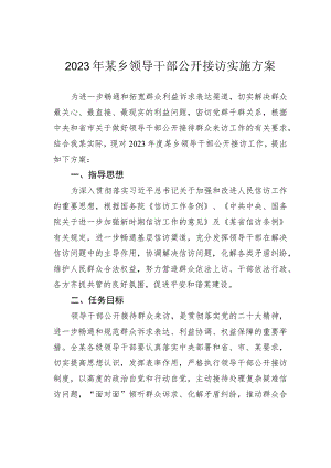 2023年某乡领导干部公开接访实施方案.docx
