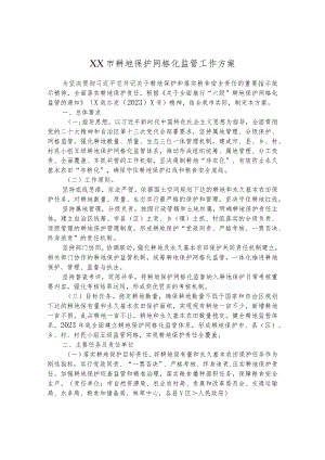 XX市耕地保护网格化监管工作方案.docx