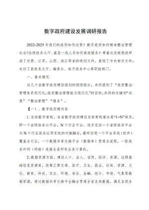 数字政府建设发展调研报告.docx