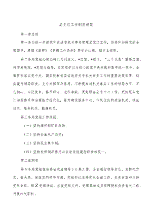 局党组工作制度规则.docx