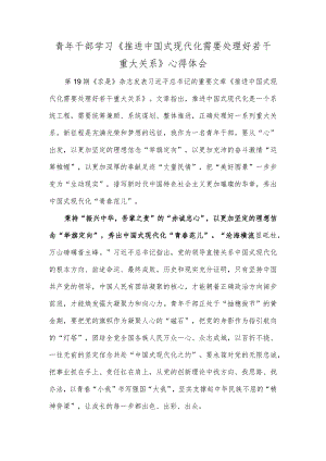 青年干部学习《推进中国式现代化需要处理好若干重大关系》心得体会.docx