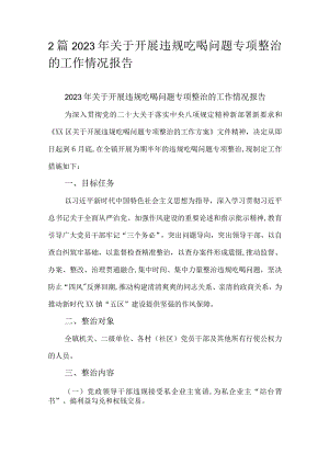 2篇2023年关于开展违规吃喝问题专项整治的工作情况报告.docx