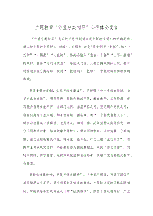 主题教育“注重分类指导”心得体会发言.docx