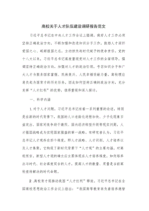 高校关于人才队伍建设调研报告范文.docx