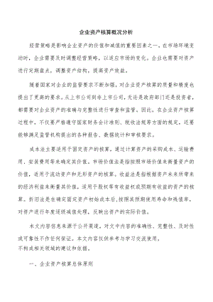 企业资产核算概况分析.docx