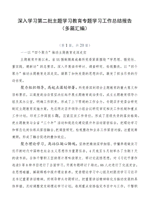 深入学习第二批主题学习教育专题学习工作总结报告（多篇汇编）.docx