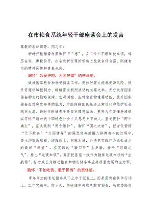 在市粮食系统年轻干部座谈会上的发言 .docx