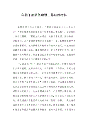 某市2023年关于年轻干部队伍建设工作经验材料.docx