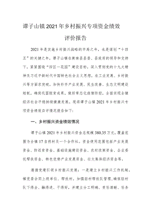 谭子山镇2021年乡村振兴专项资金绩效评价报告.docx
