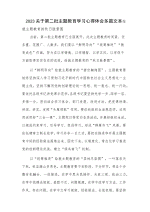 2023关于第二批主题教育学习心得体会多篇文本.docx