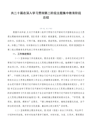 共二十篇在深入学习贯彻第二阶段主题集中教育阶段总结.docx