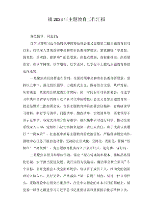 2023年镇主题教育工作汇报.docx