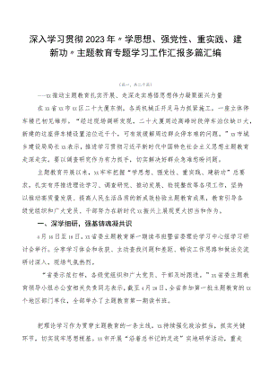 深入学习贯彻2023年“学思想、强党性、重实践、建新功”主题教育专题学习工作汇报多篇汇编.docx