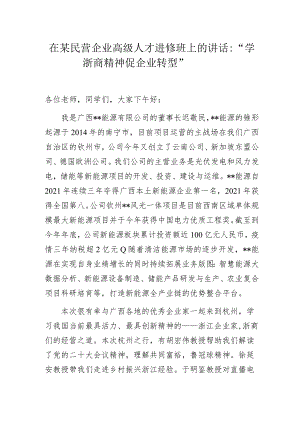 在某民营企业高级人才进修班上的讲话.docx