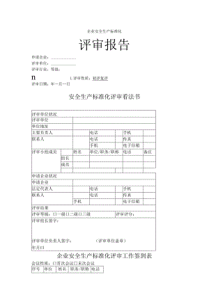 工贸企业三级安全生产标准化评审报告模板(新).docx