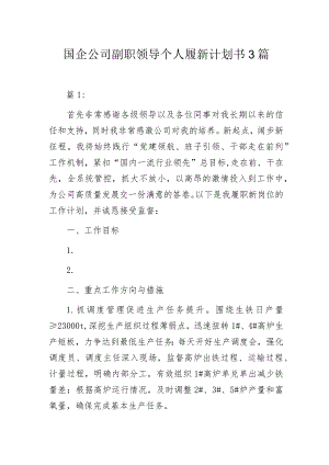 国企公司副职领导个人履新计划书3篇.docx