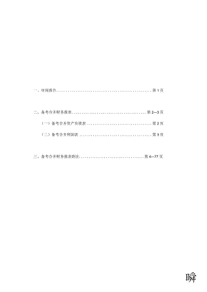 罗博特科：备考合并审计报告.docx