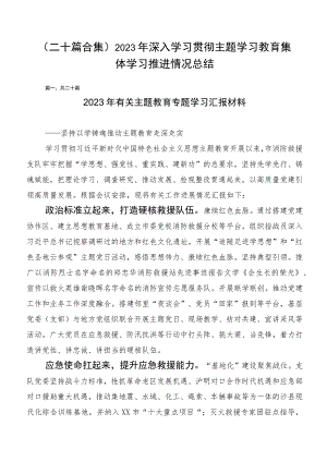 （二十篇合集）2023年深入学习贯彻主题学习教育集体学习推进情况总结.docx