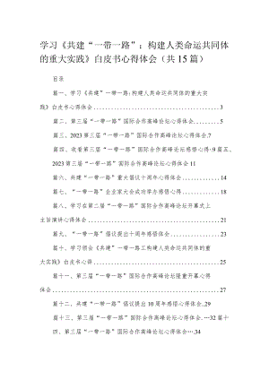 学习《共建“一带一路”：构建人类命运共同体的重大实践》白皮书心得体会（共15篇）.docx