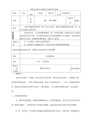 一棵小桃树教案[1].docx