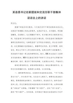 某县委书记在新提拔和交流任职干部集体谈话会上的讲话.docx