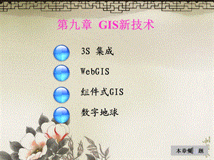 9GIS新技术.ppt