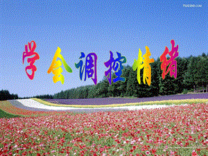 6.2学会调控情绪调控.ppt