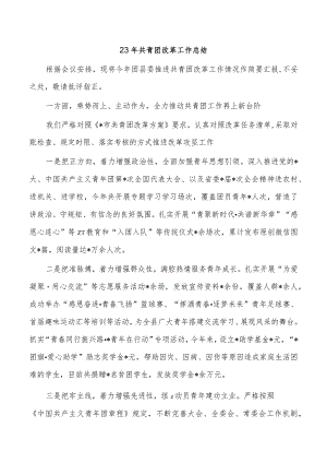 23年共青团改革工作总结.docx