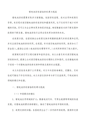 锂电池回收面临的机遇与挑战.docx